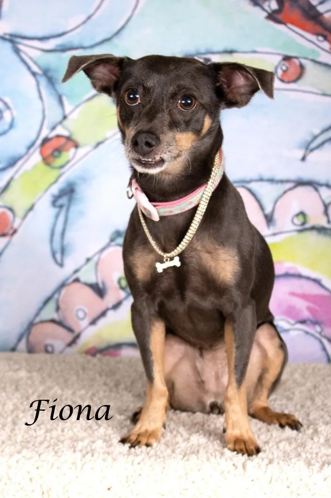 Fiona thumbnail 2