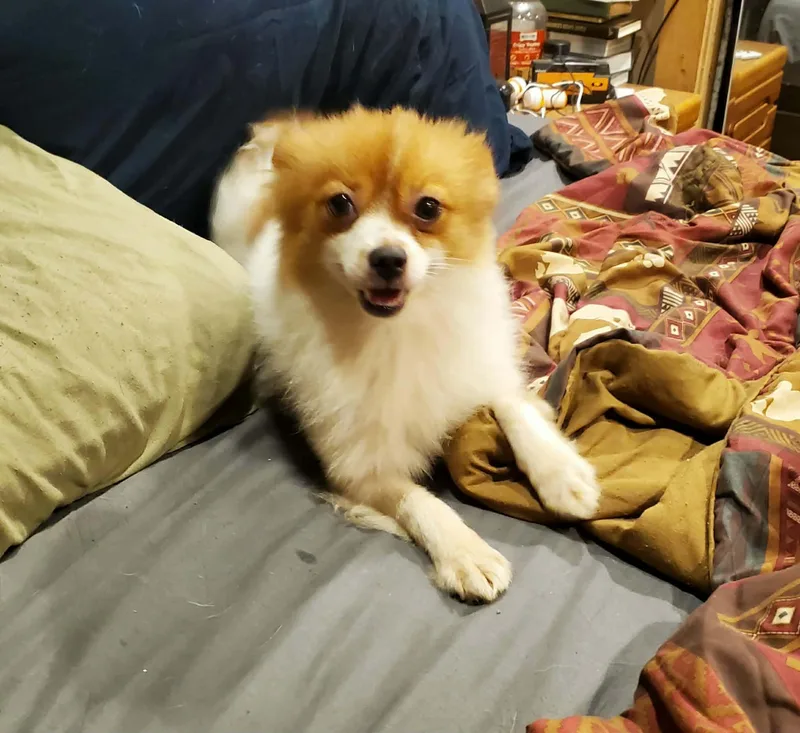 Andy thumbnail 3
