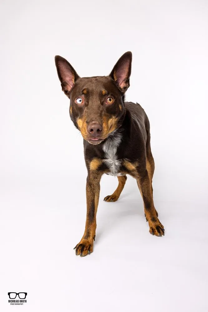 Pedro Francisco thumbnail 2