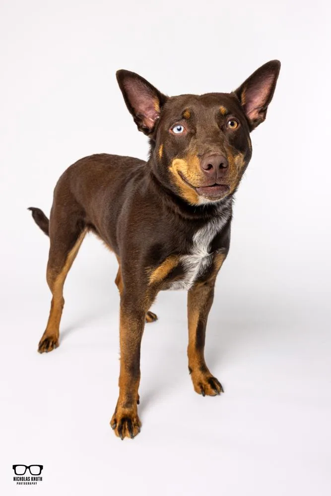 Pedro Francisco thumbnail 4