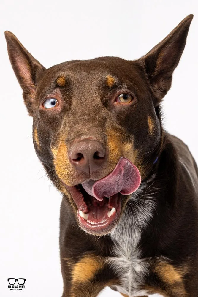 Pedro Francisco thumbnail 5