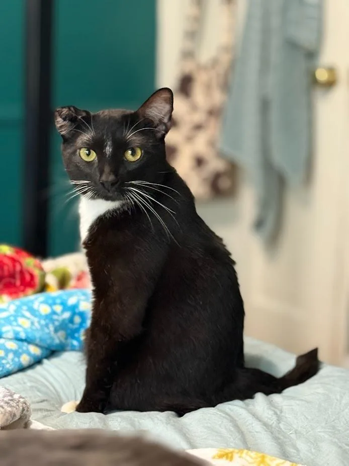 Steven  Van thumbnail 2