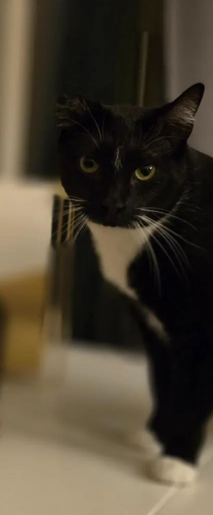 Steven  Van thumbnail 3