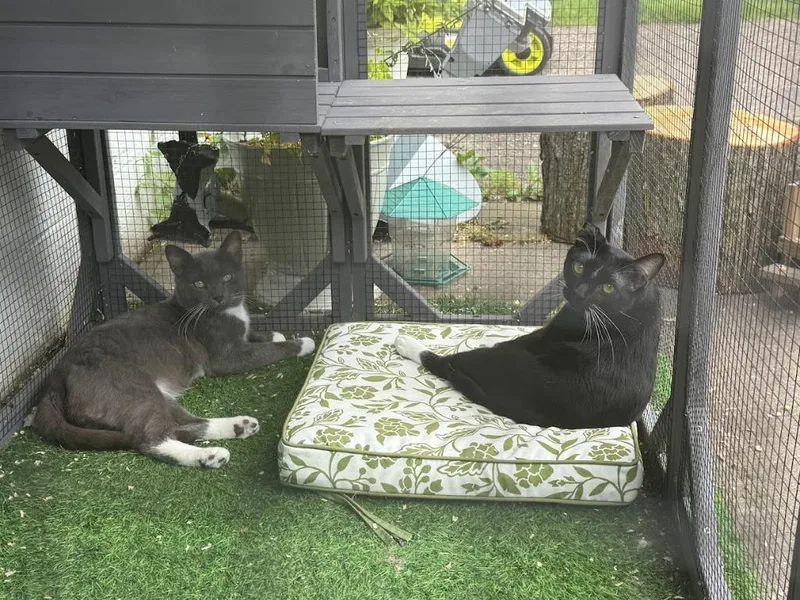 Steven  Van thumbnail 6