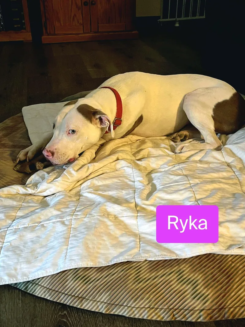 Ryka thumbnail 3