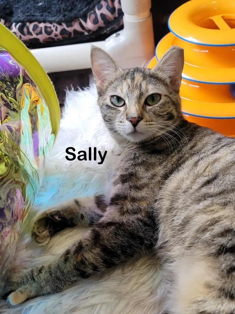 Burt  Jerry  thumbnail 3