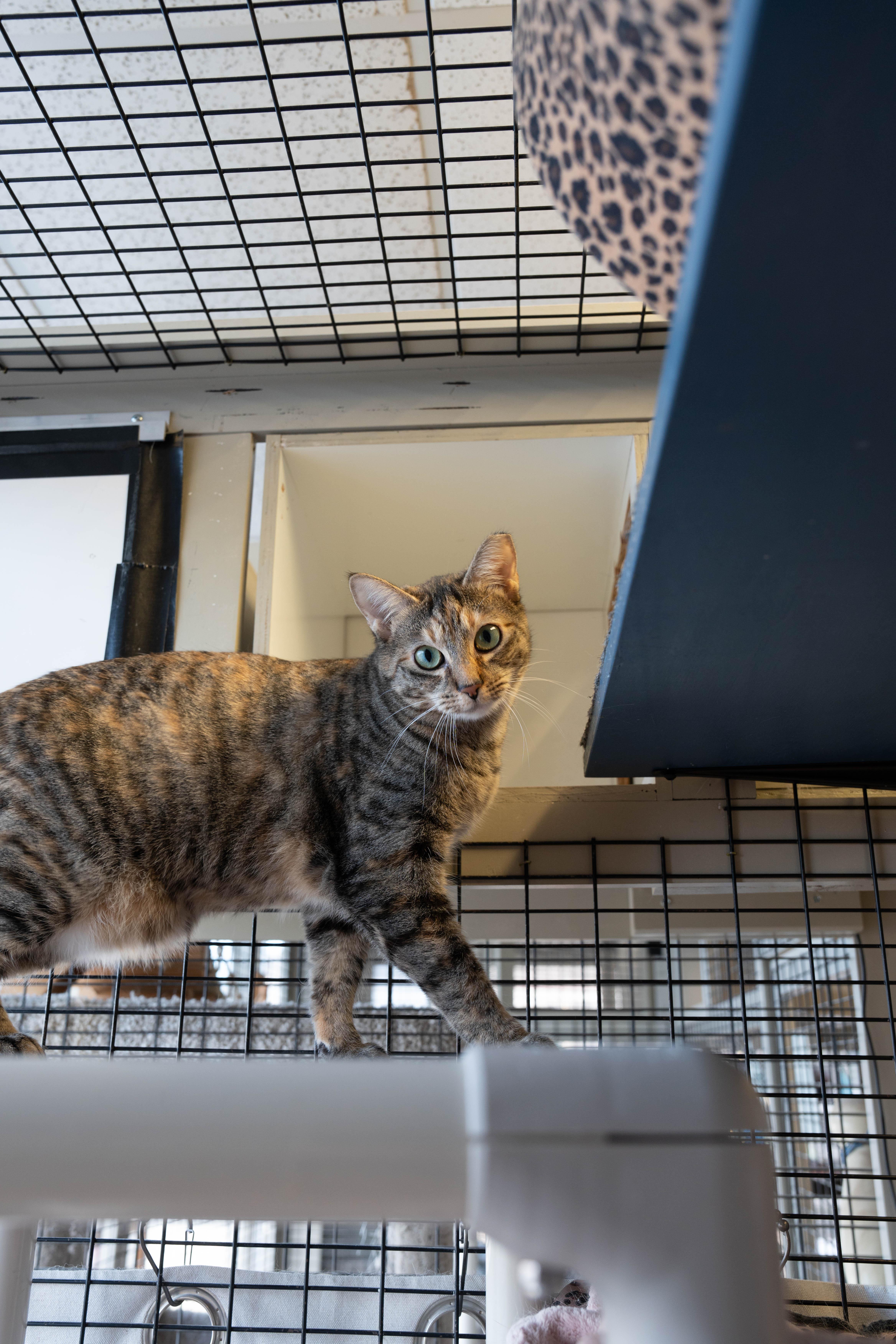 Burt  Jerry  thumbnail 5