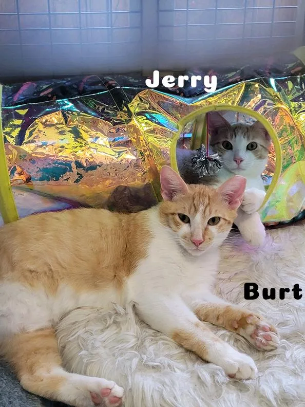 Burt  Jerry  thumbnail 6