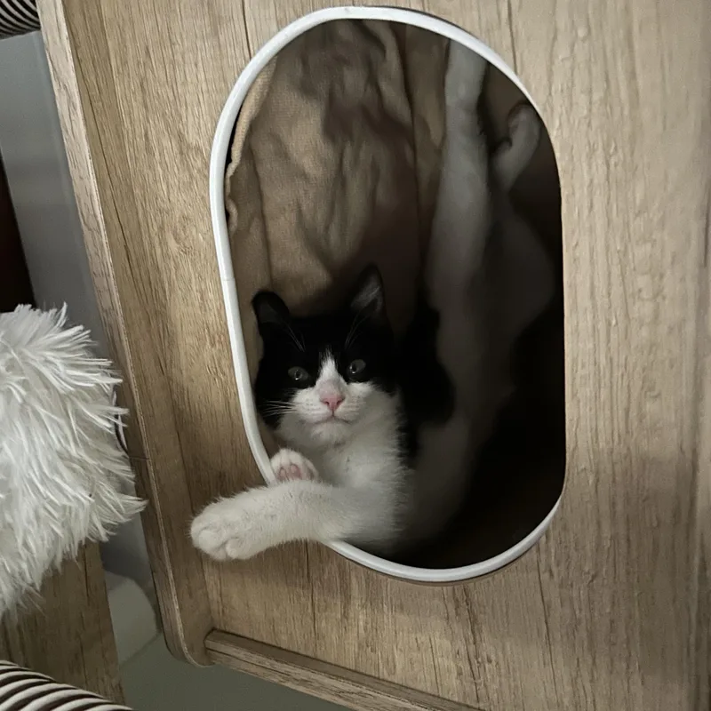 Franny thumbnail 3