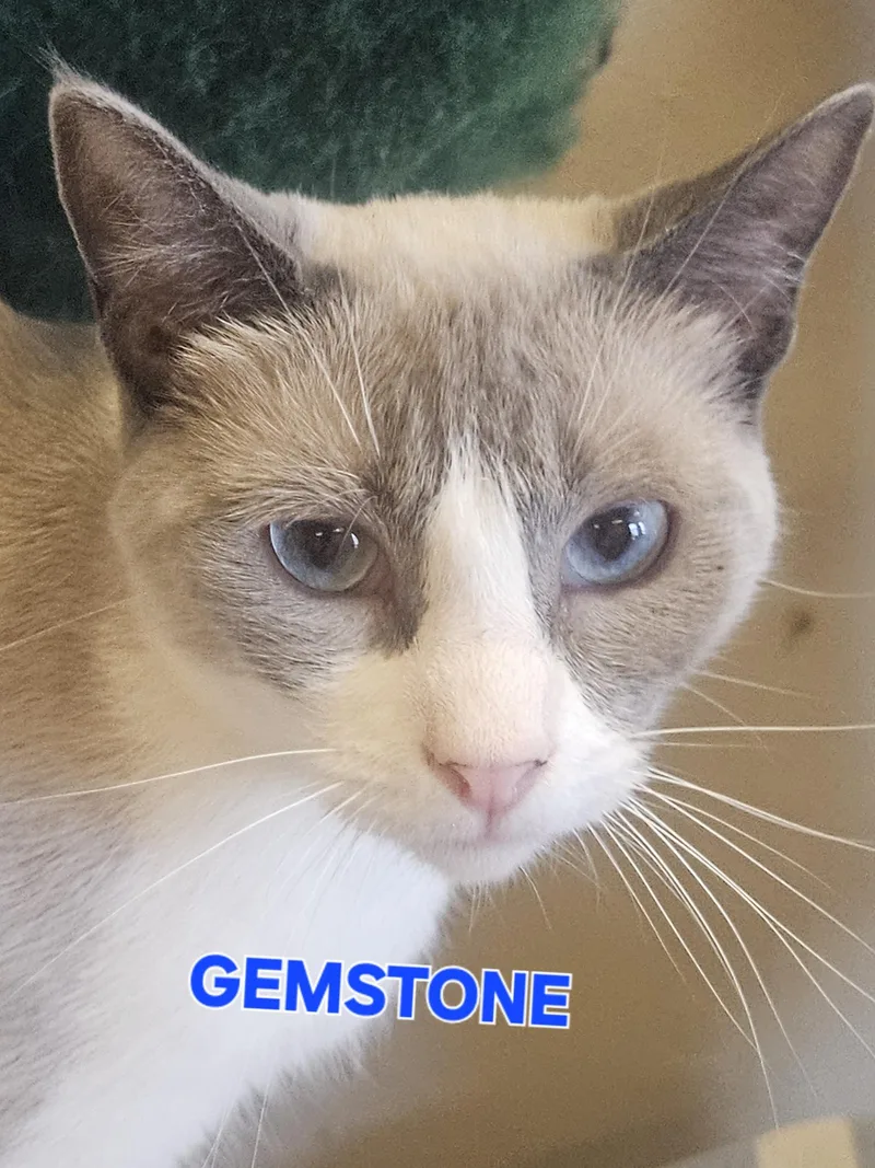 Gemstone thumbnail 3