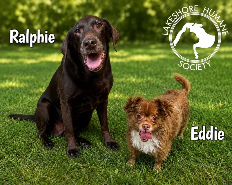 Ralphie & Eddie
