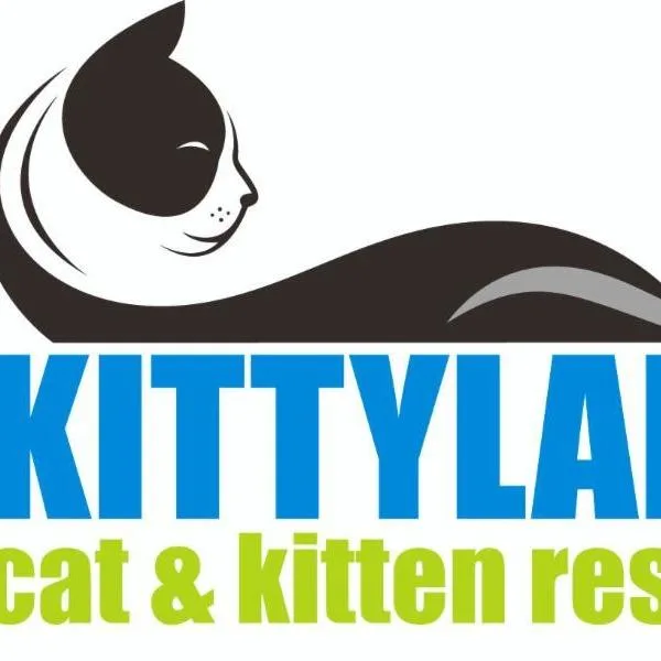 An adult medium-sized female White Domestic Short Hair cat named Millie for adoption in Desert Hot Springs, CA