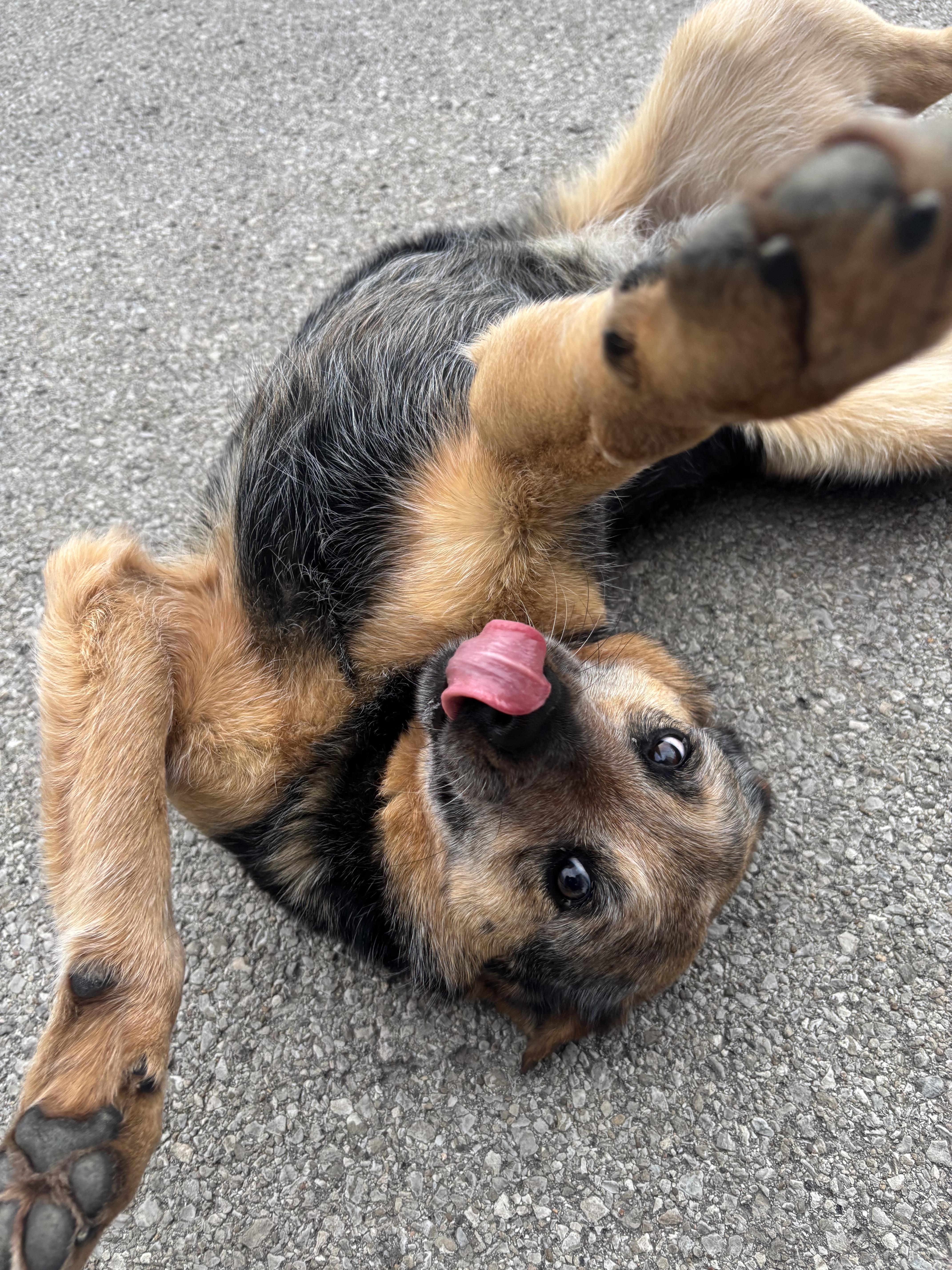 Jake " From State thumbnail 2