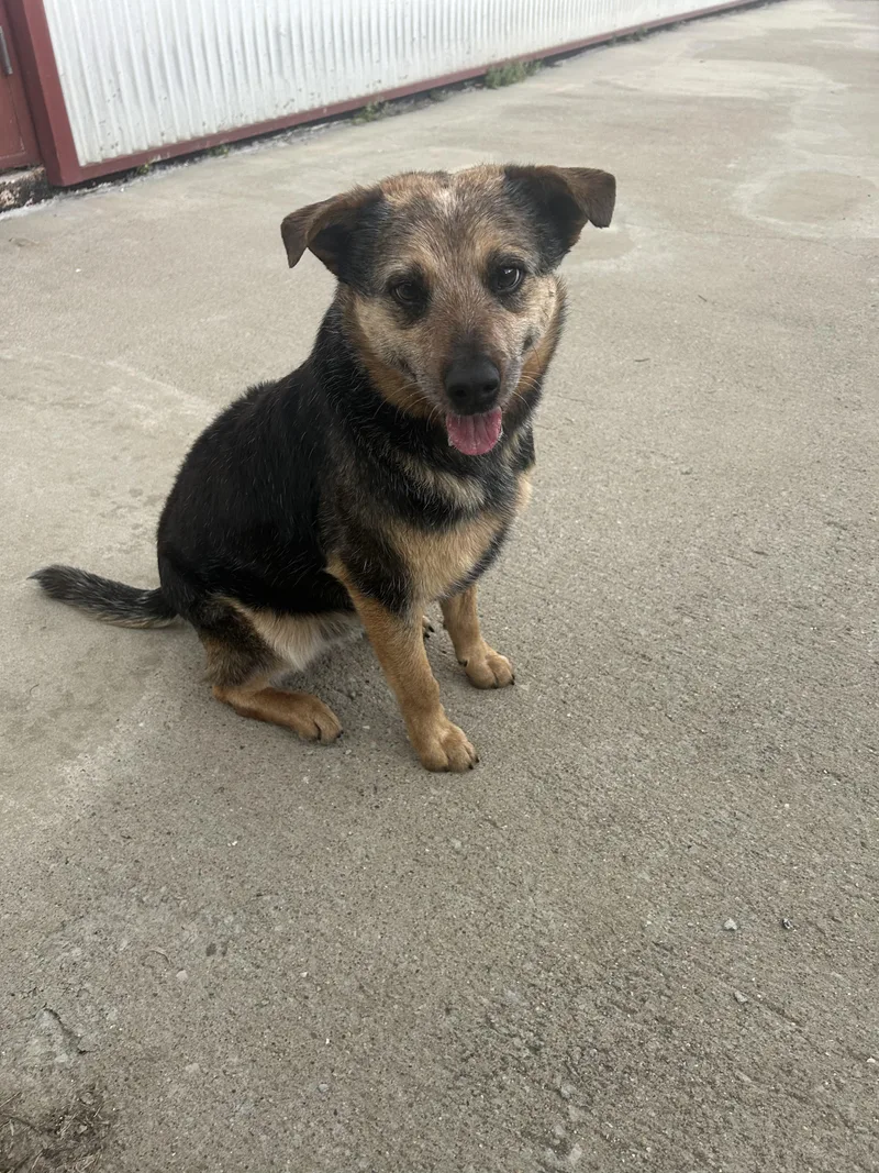 Jake " From State thumbnail 4