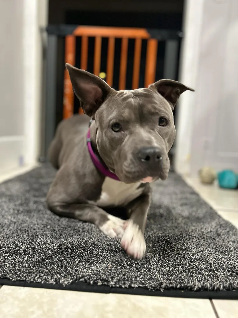 Lola thumbnail 6