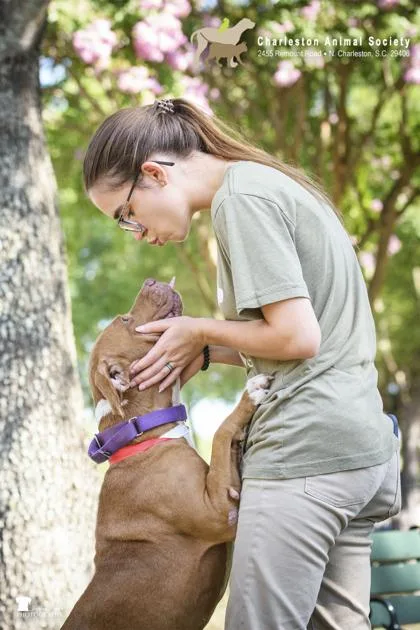 a Chiquis thumbnail 2