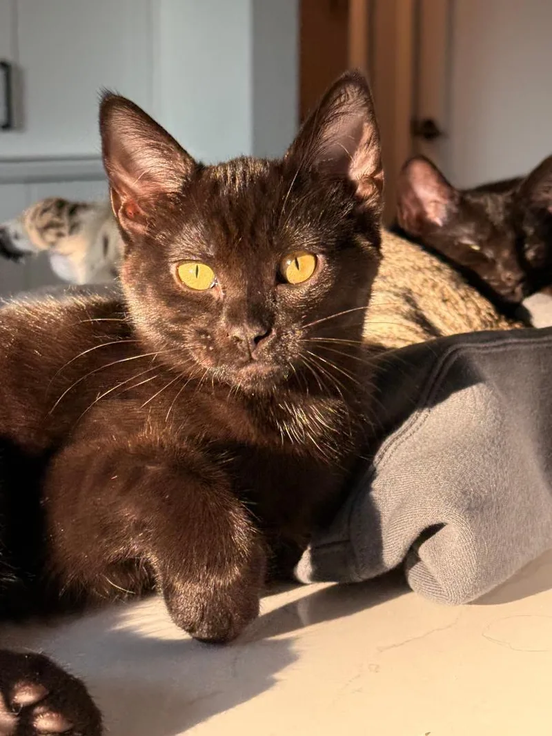 Stormy & Rosie Snugglebeans thumbnail 2
