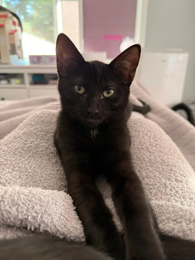 Stormy & Rosie Snugglebeans thumbnail 3