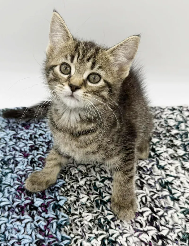 Delaney Is A Living thumbnail 2