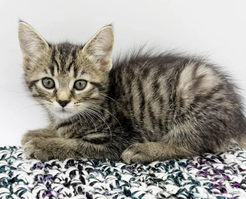 Delaney Is A Living thumbnail 3