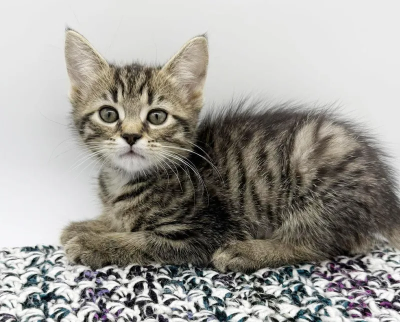 Delaney Is A Living thumbnail 4