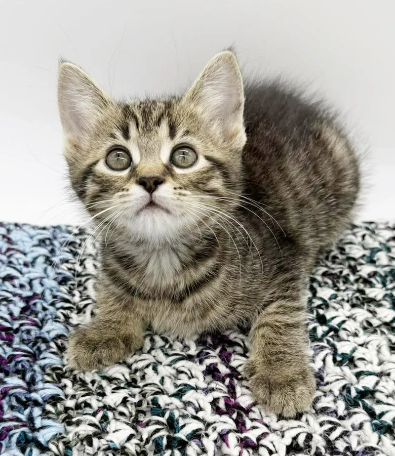 Delaney Is A Living thumbnail 5