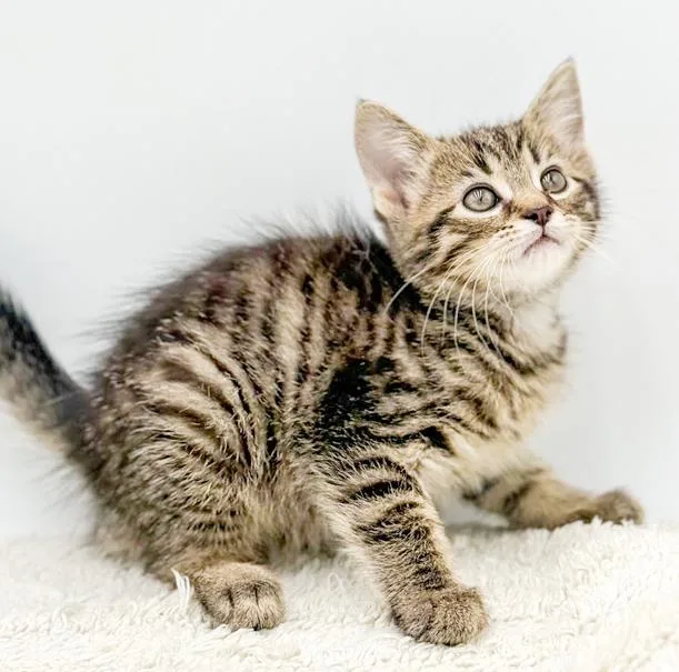 Delaney Is A Living thumbnail 6