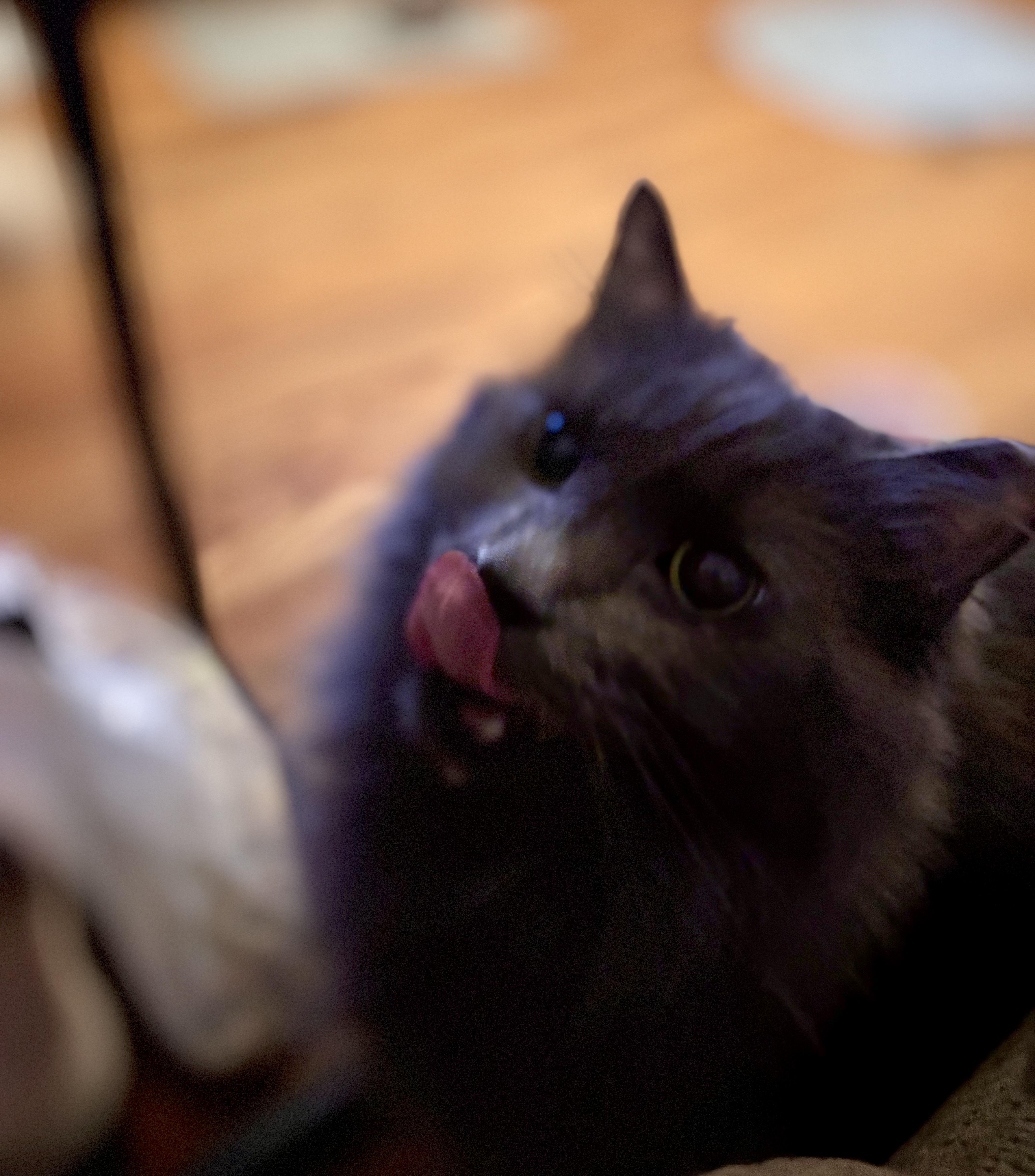 Smokey Joe thumbnail 3