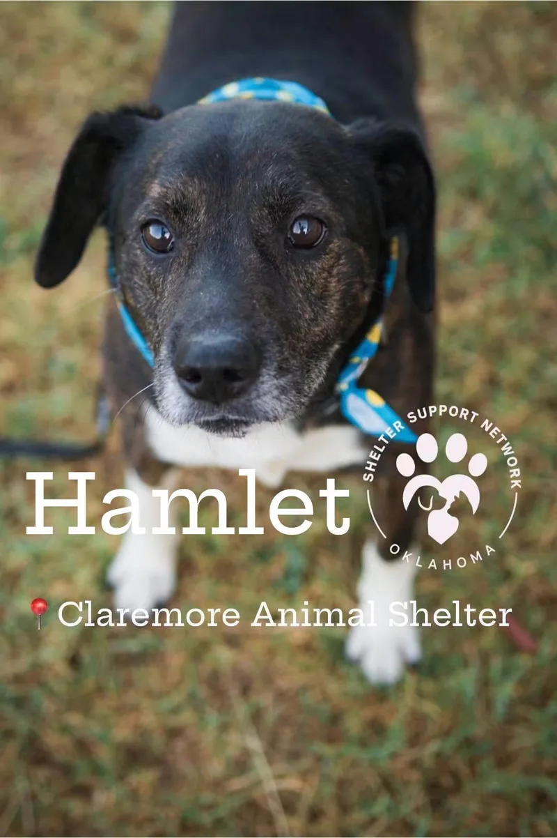 Hamlet thumbnail 2