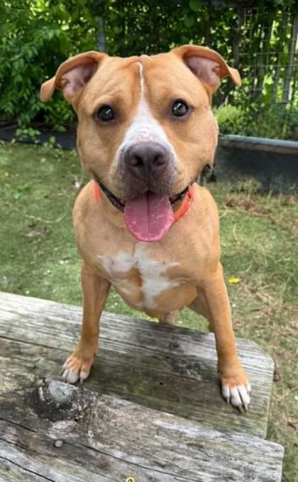 Zeus