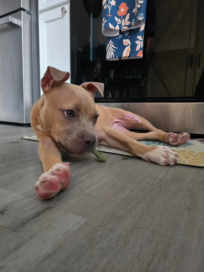 Little Sunshine thumbnail 2