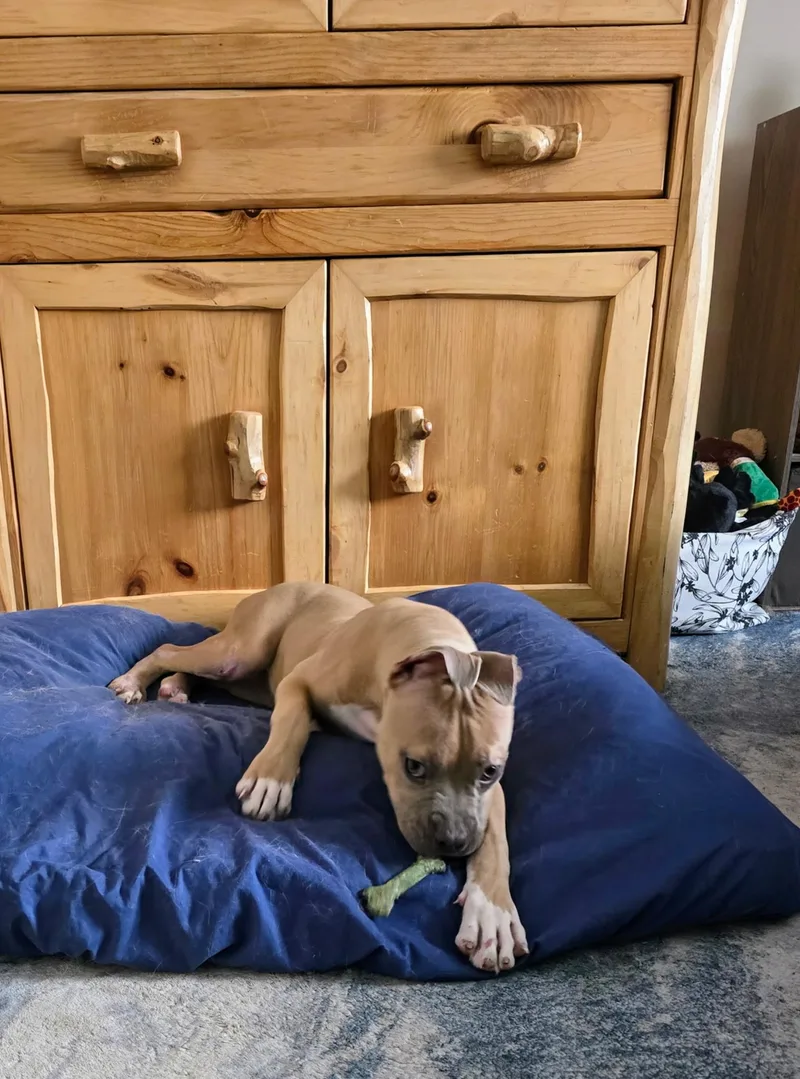 Little Sunshine thumbnail 3