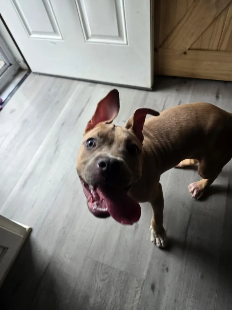 Little Sunshine thumbnail 4