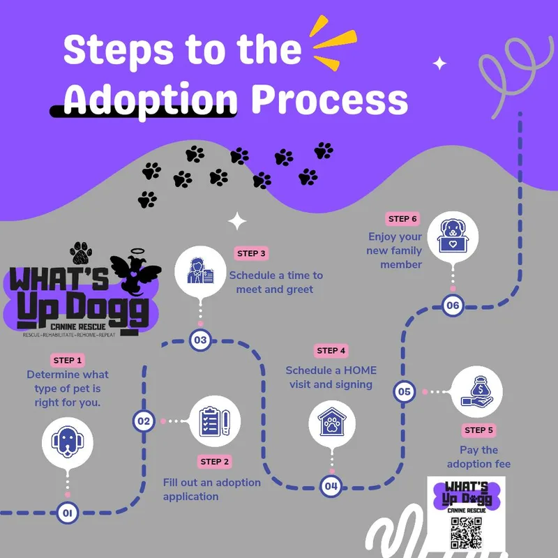 Bullseye thumbnail 2