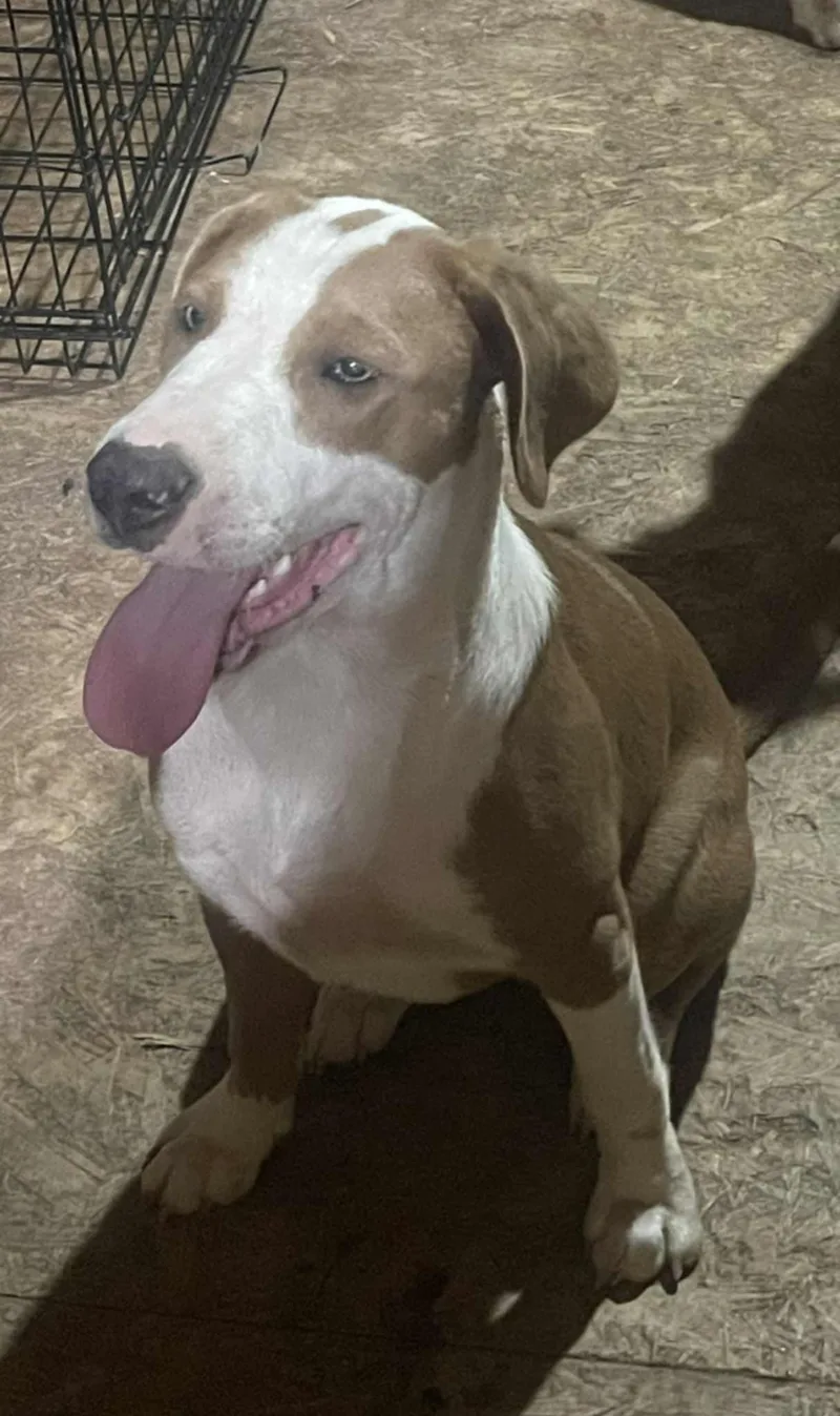 Bullseye thumbnail 4