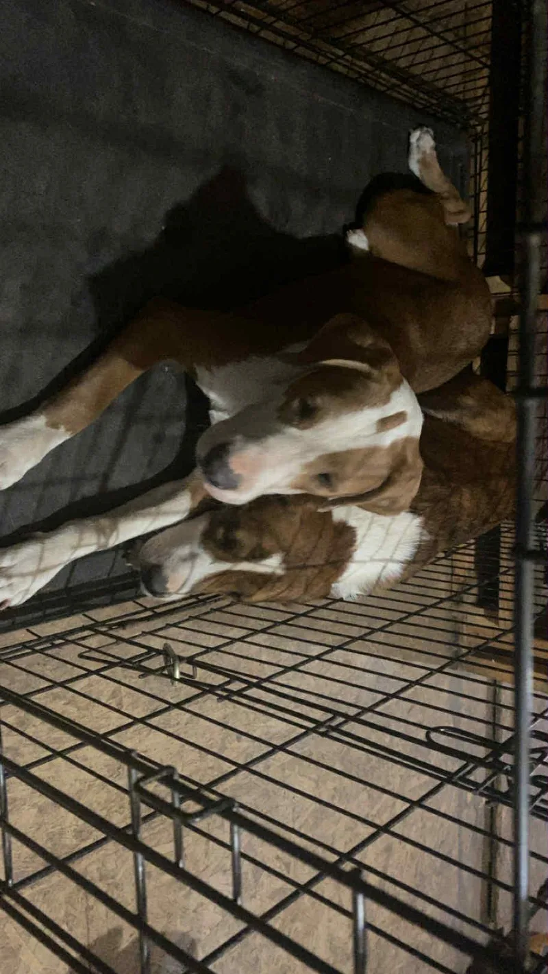 Bullseye thumbnail 5