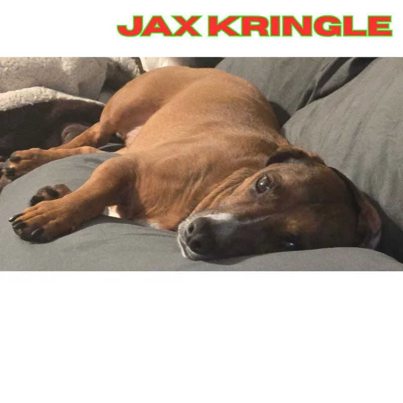 Jax Kringle thumbnail 3