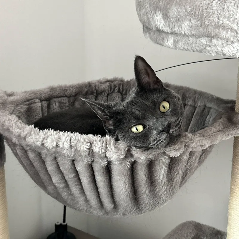 Maisy thumbnail 3