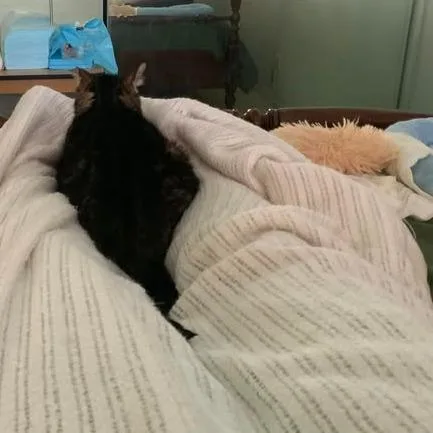 Kiki thumbnail 5