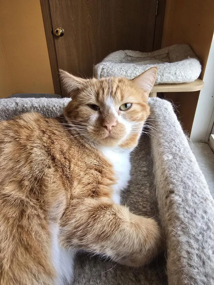 Charlotte thumbnail 2