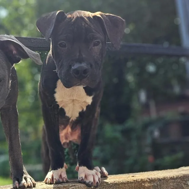 Luke Mcconnell thumbnail 2