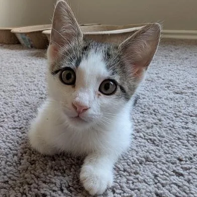Baby Mia thumbnail 4