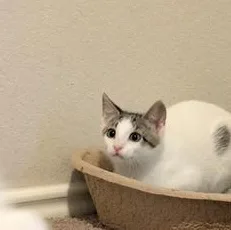 Baby Mia thumbnail 6