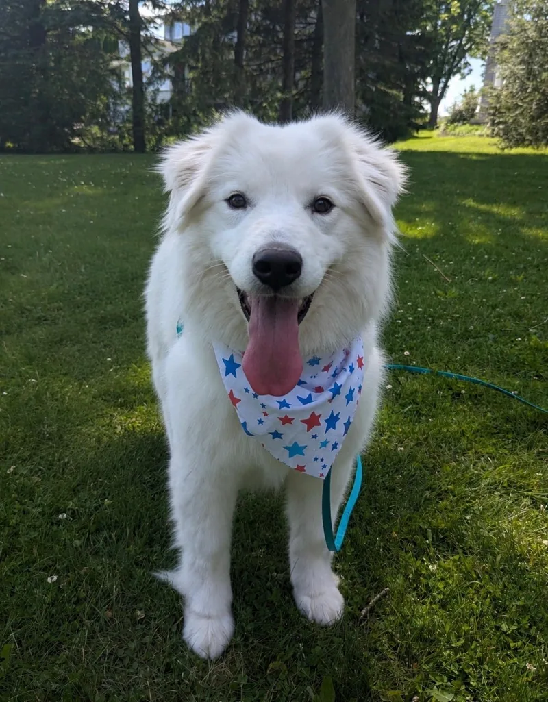 MillieValentina thumbnail 4