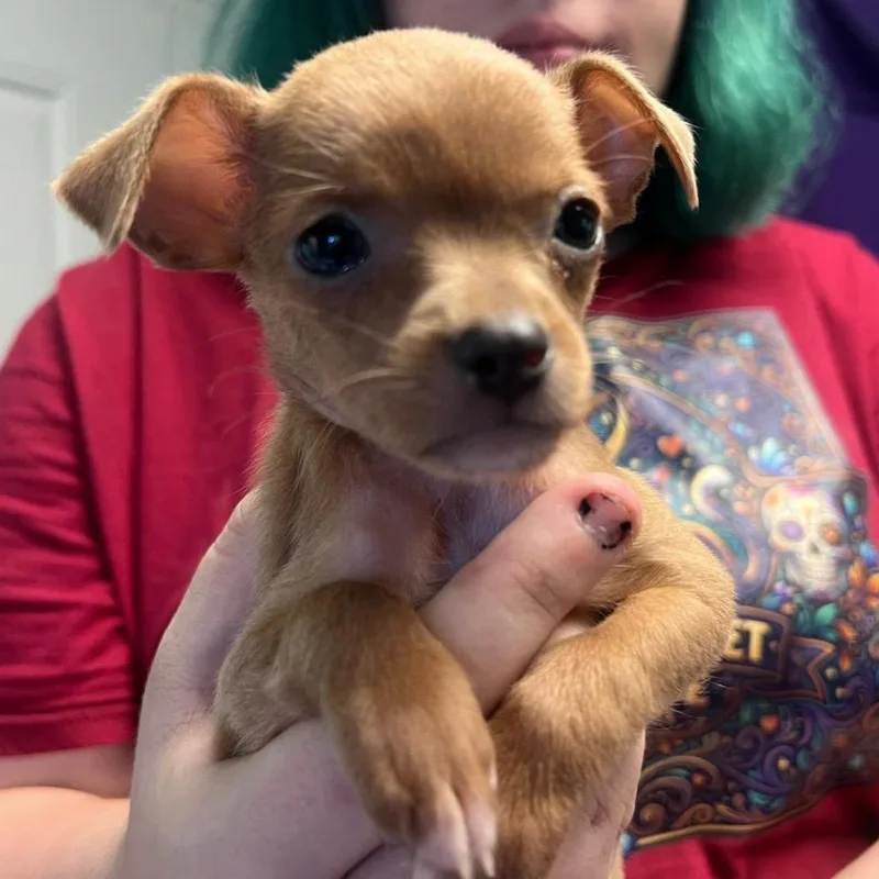 Winnie thumbnail 2