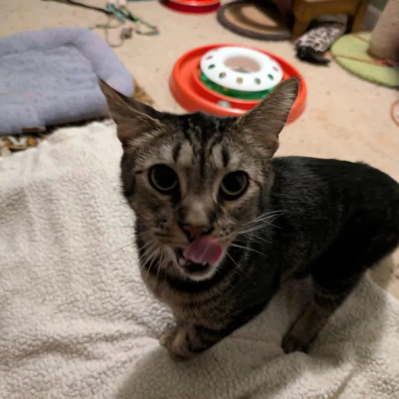 Gary  Rs $pecial thumbnail 2