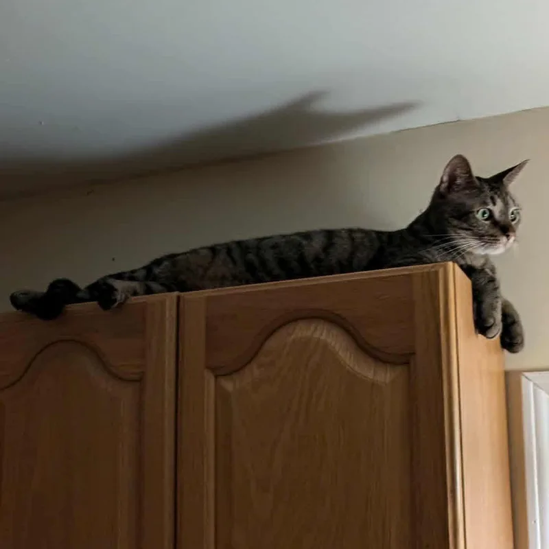 Gary  Rs $pecial thumbnail 3