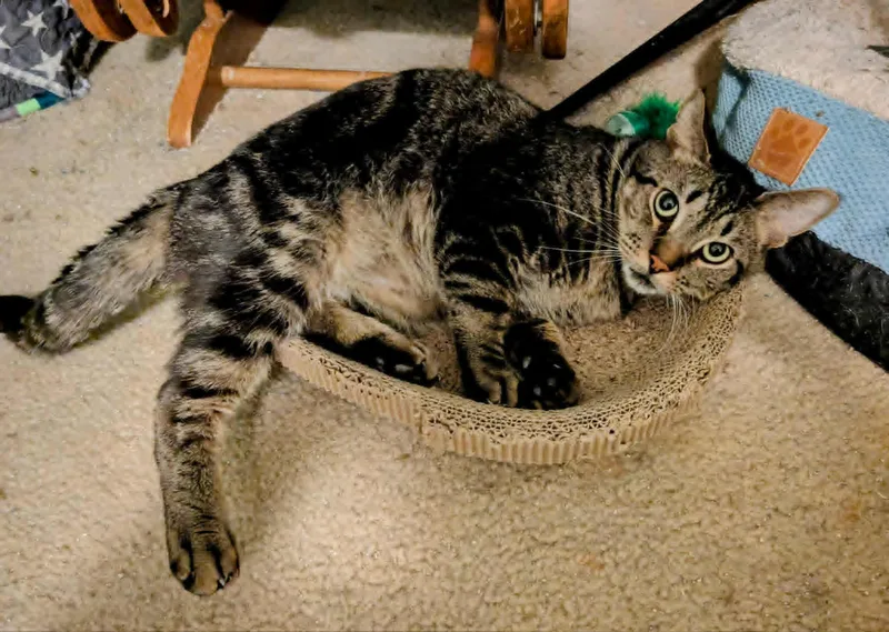 Gary  Rs $pecial thumbnail 4