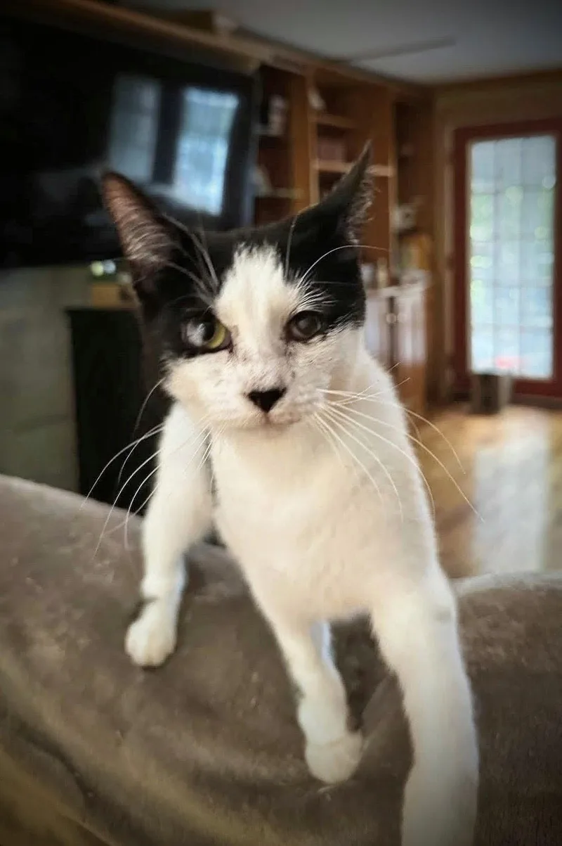 Dottie thumbnail 3