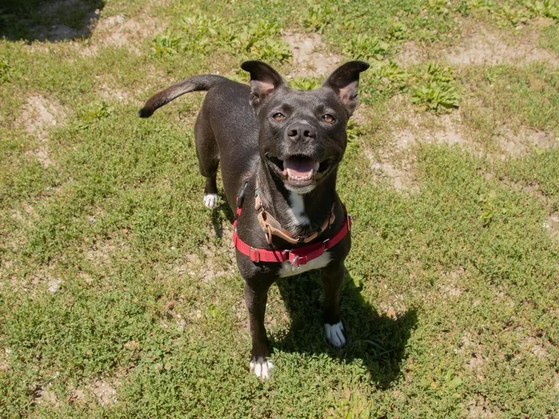 Kemi